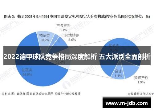 2022德甲球队竞争格局深度解析 五大派别全面剖析