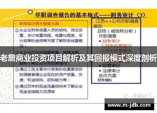 老詹商业投资项目解析及其回报模式深度剖析
