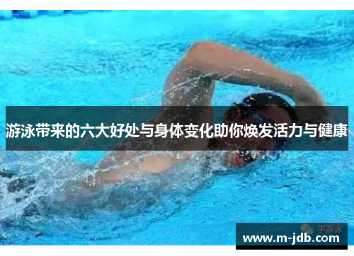 游泳带来的六大好处与身体变化助你焕发活力与健康