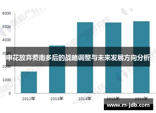 申花放弃费南多后的战略调整与未来发展方向分析