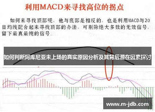 如何判断阿库尼亚未上场的真实原因分析及其背后潜在因素探讨